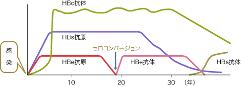 HBVキャリアにおける抗原・抗体出現時期の推移