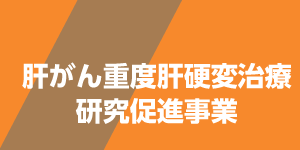 肝がん重度肝硬変治療促進事業