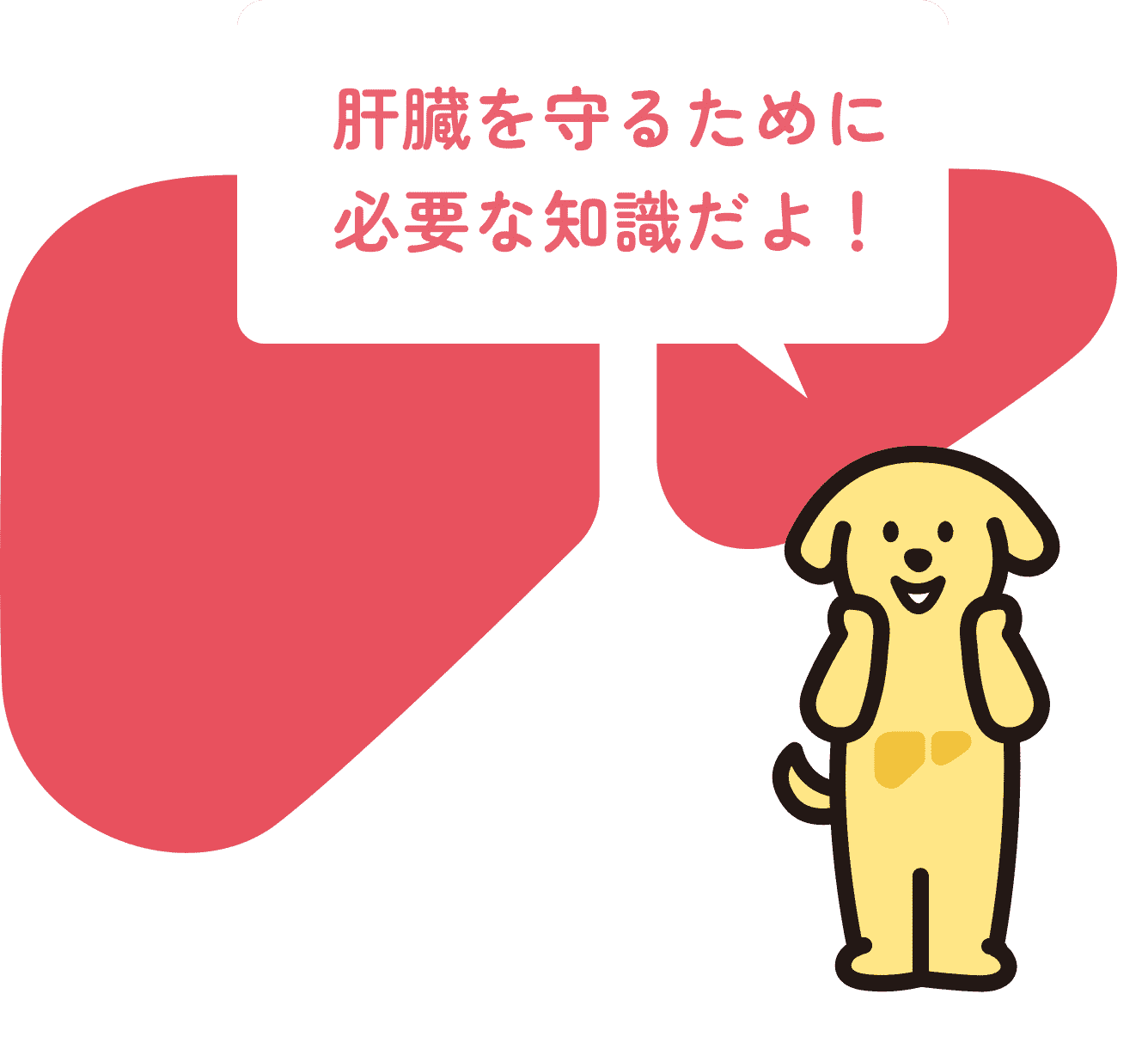 肝臓を守るために必要な知識だよ！